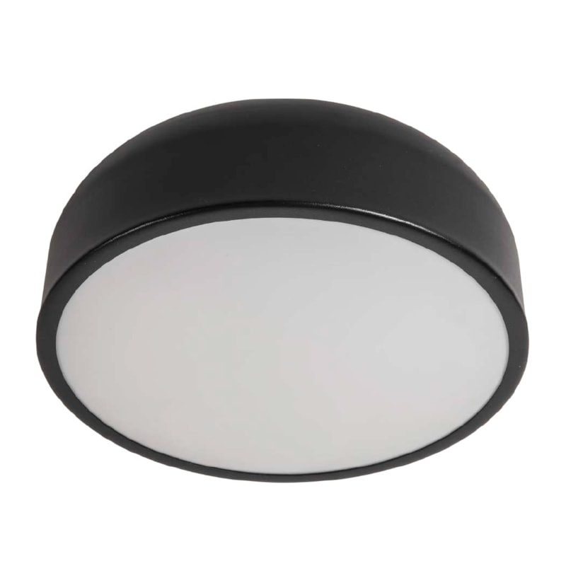 image_a65ee4f4-9ed1-4abd-bb1a-d91f0f5a8d95