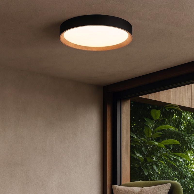 image_7eeff905-a371-4c55-ae41-050a4c9819fc