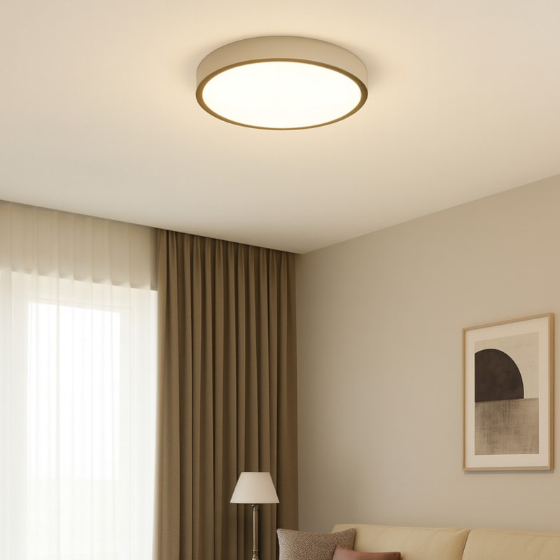 image_64344a2b-3c8e-4943-9dc2-7bf361604041