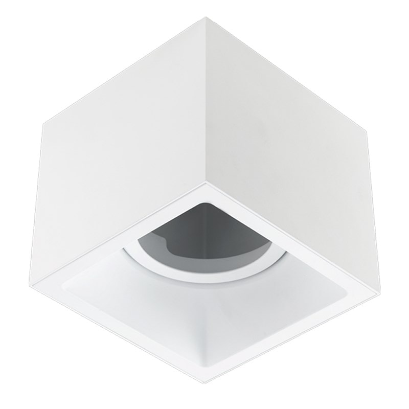 image_910d0158-22b5-4e8b-b5e3-42fb376d11ec