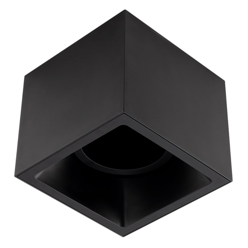 image_f88ca364-3c75-4c9f-b07c-6c7f24dd09de