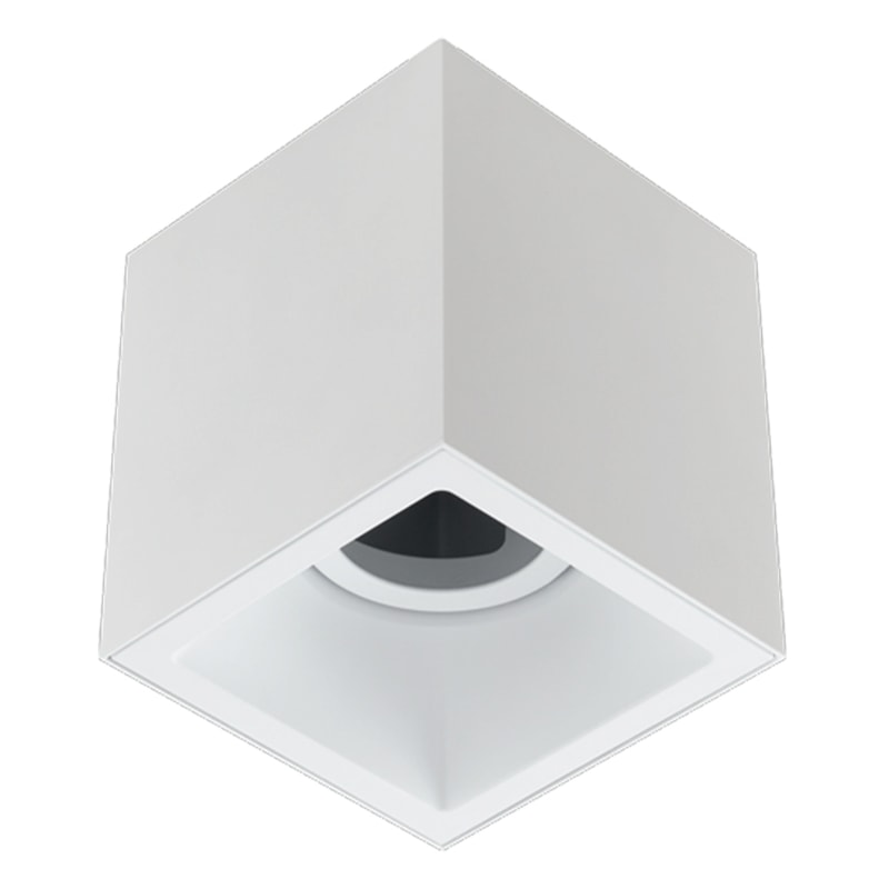 image_a4d67078-38b4-41ac-bcfc-0127a303ecea