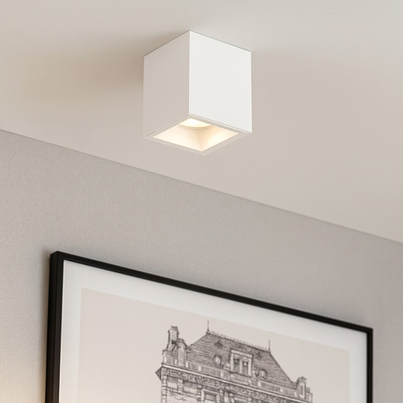 image_fa1a635a-846d-4074-9a90-683d71362980