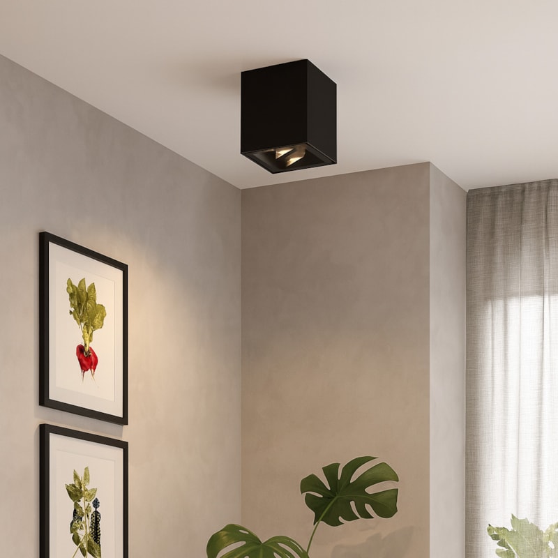 image_9fcc3843-8dcf-4a75-8ef2-3e48e2440d33