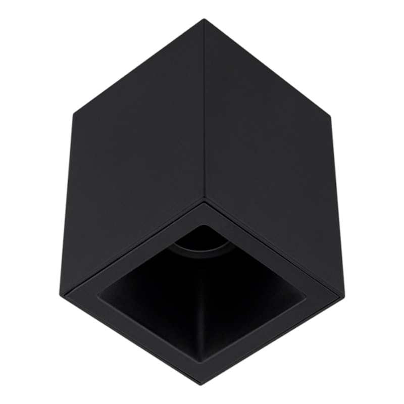 image_e965b7a2-b8be-4836-be4a-48d26a2e6726