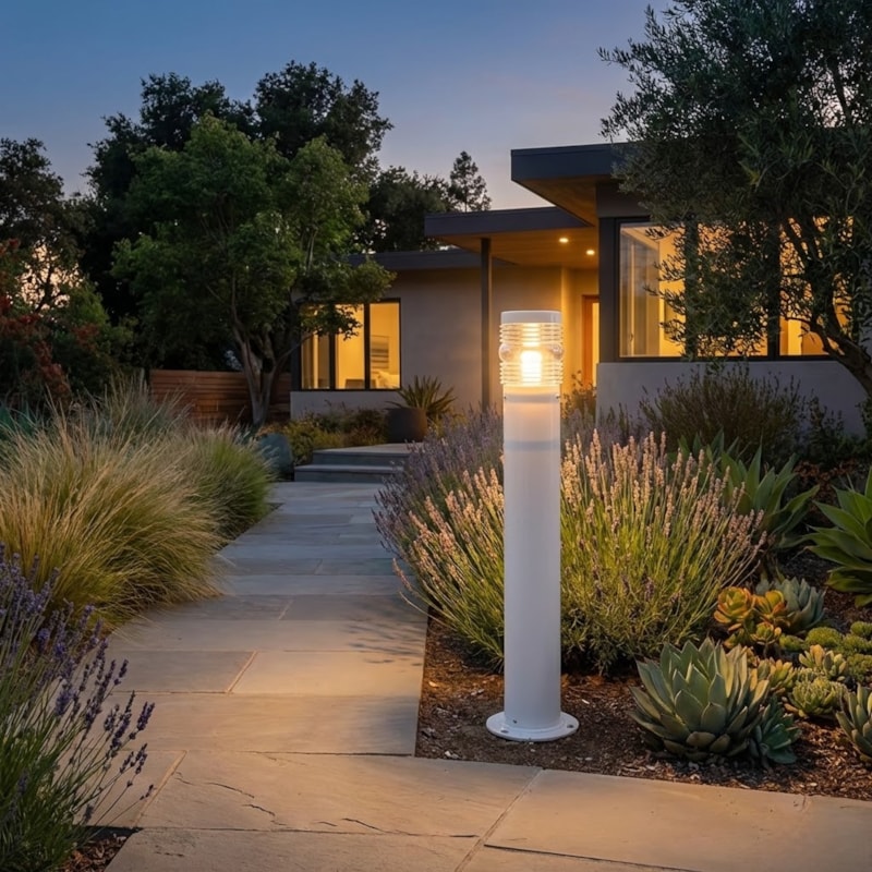 image_10e10ffa-0a62-47c5-89ba-013a933f6fdd