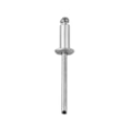 Rebite De Alumínio 4.8Mm X 25Mm Com 10 Unidades Leon Encartelados