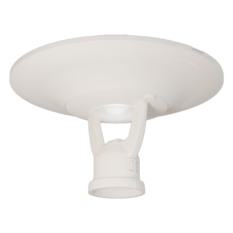 image_a6465554-f28a-4b8b-8876-2f61f4d9c9e0