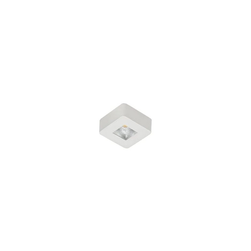 image_c4d526f2-60e7-4d8b-ae60-837a4c330fbb