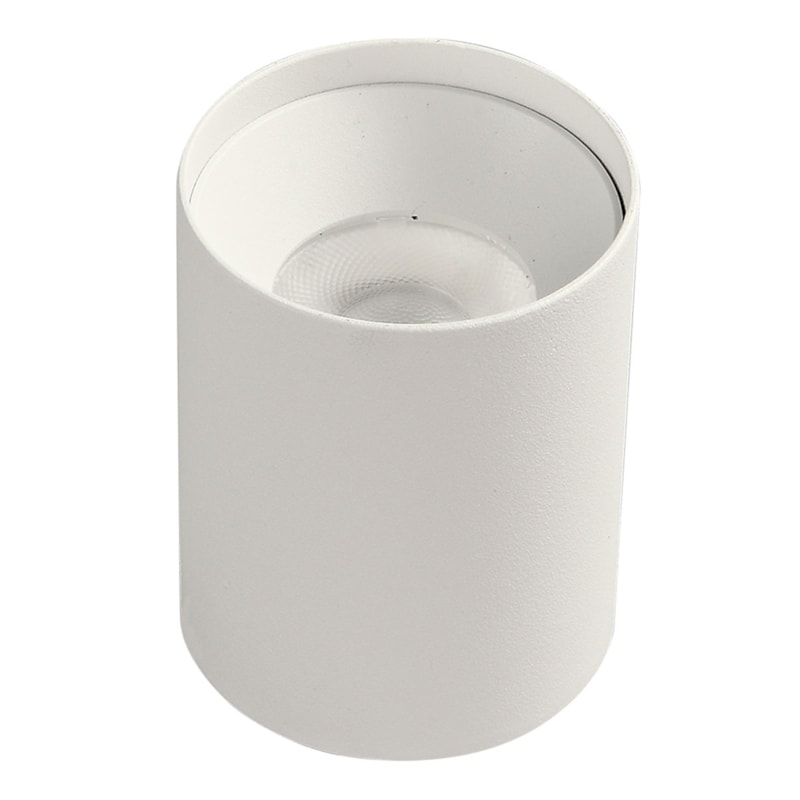 image_278ffc5b-9f92-44c8-bf0f-855148e8b7e2