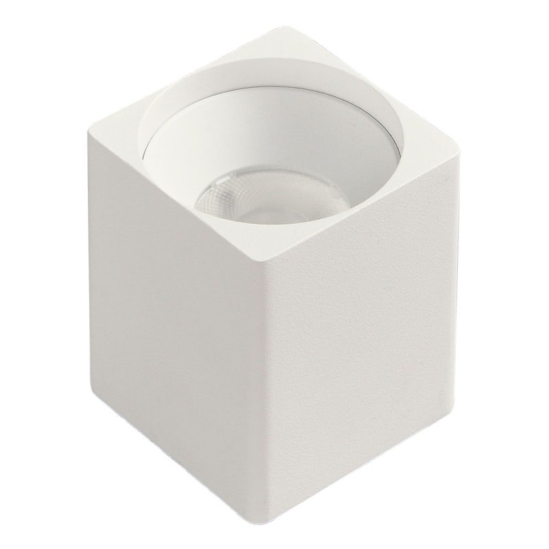 image_e6e8ae79-1e73-43c5-adab-a905eba96e84