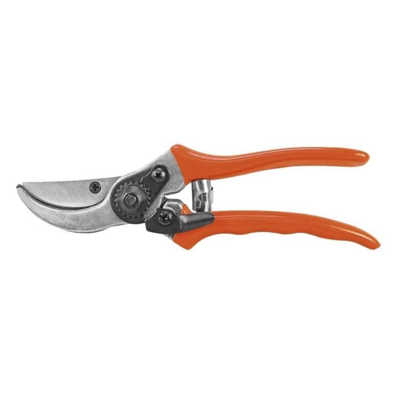 image_5b0ee3f5-9049-41ed-a5a0-3f9c6577a406