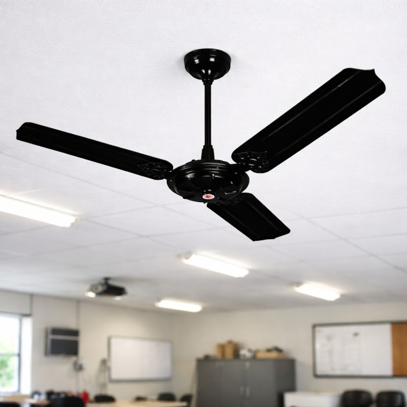 image_96e28763-a837-4c4d-999b-ae29c75126c2