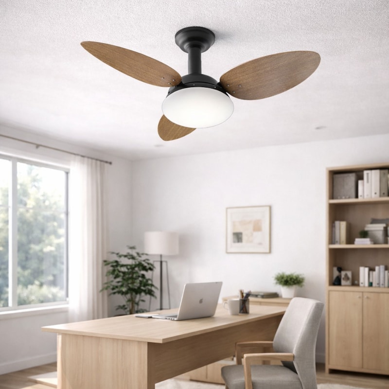 image_82880c07-45ba-43b0-9078-280bf6efc5a7