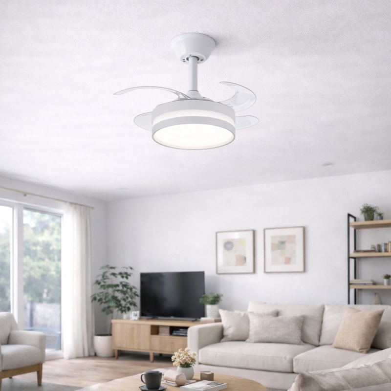 image_c6c669e8-cc07-455a-ad32-cf35dd1ce07f