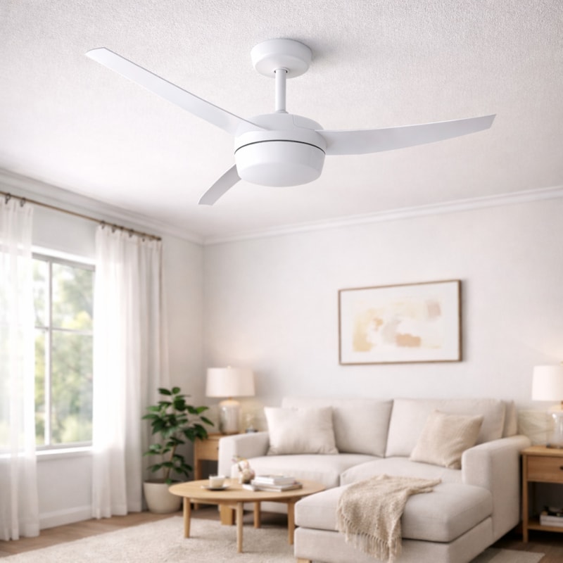 image_e50ed109-e293-4523-885a-9abe816bc7b3