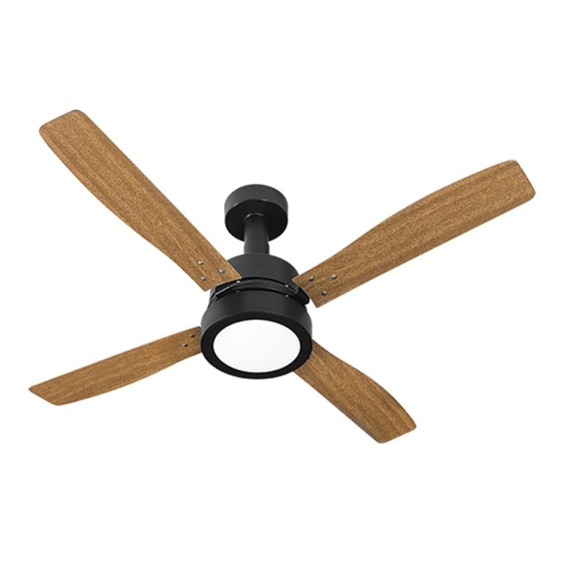 image_91e8cc4a-d982-43ce-892f-246d2067f43d